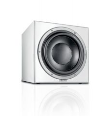 dynaudio sub 250ii white